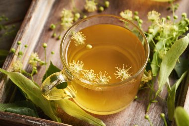 A cup of herbal tea containing fresh linden or Tilia cordata flowers harvested in spring clipart