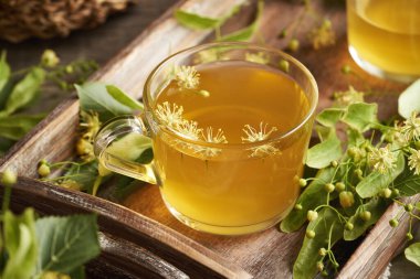 Bahar mevsiminde toplanmış taze ıhlamur veya Tilia kordata çiçekli şeffaf bir fincan bitki çayı.