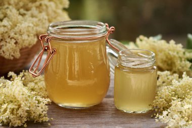 Baharda yapılan iki kavanoz ev yapımı mürver çiçeği şurubu.