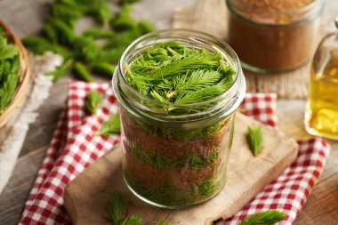 Bahar ve baston şekerden toplanan taze ladin yapraklarından bitkisel şurup yapmak