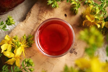 St. John 's Wort yağı ve taze Hypericum çiçekleri, üst manzara.