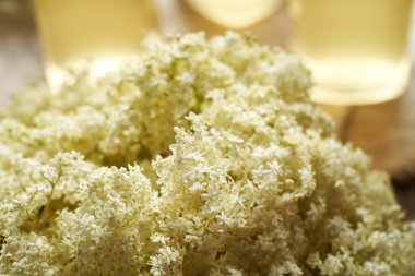 İlkbaharda toplanan siyah yaşlı çiçeklerin yakın plan çekimleri ve arka planda mürver şurubu