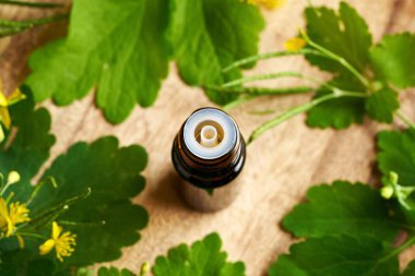 Daha büyük bir selandin şişesi ya da taze çiçek açmış Chelidonium Majus bitkisiyle tetterwort tentürü.