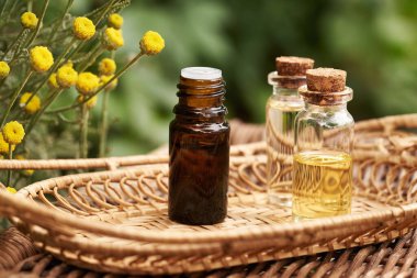 Aromaterapi şişeleri açık havada taze Santolina çiçekleriyle dolu bir masada gerekli yağ.
