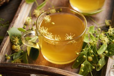 Cam bir fincanda taze çiçeklerle ıhlamur çiçeği çayı.