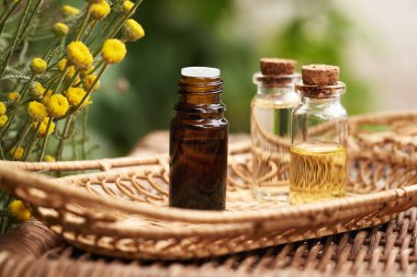 Aromaterapi şişeleri açık havada taze santolina bitkisi içeren gerekli yağ.