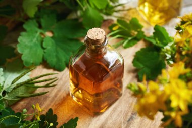 Şeffaf bir şişe tetterwort bitkisel tentürü.