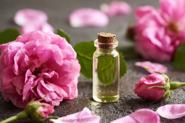 Masanın üzerinde pembe gül de Mai çiçekleri olan şeffaf bir şişe aromaterapi yağı.