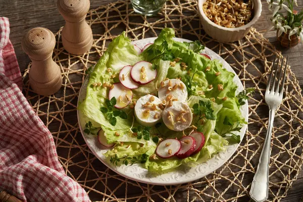 stock image Vegetable salad with sprouted fenugreek, goat cheese and young wild edible plant leaves harvested in spring - chickweed and bedstraw