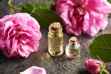 İki şişe aromaterapi esaslı yağ ile koyu arkaplanda pembe gül de Provence çiçekleri.