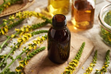 Taze çiçek açan tarımsal bitkilerle dolu koyu renkli bir tentür şişesi. Alternatif tıp.