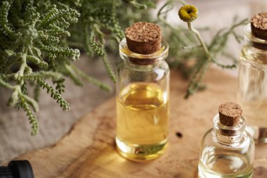 Santolina, masanın üzerindeki cam şişede gerekli yağ.