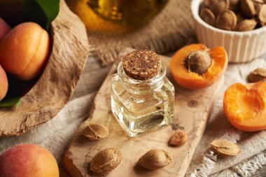 Cam kavanozda kayısı çekirdeği yağı ve taze meyve.