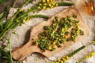 Ev yapımı bitkisel tortu hazırlamak için taze tarım bitkisi doğramak.