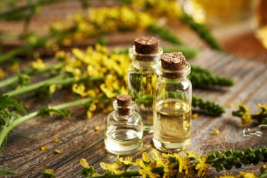 Aromaterapi şişeleri taze tarımsal ve yapışkan otlu gerekli yağ.