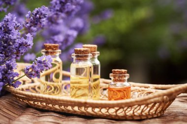 Birkaç şişe aromaterapi esaslı yağ ve taze lavanta çiçekleri.     