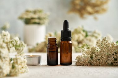 İki şişe aromaterapi esaslı yağ ve beyaz arka planda taze kiremit çiçekleri.