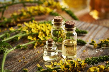 Birkaç şişe aromaterapi esaslı yağ. Taze tarımsal gübre ya da ahşap bir masa üzerinde dikenli otlar var.