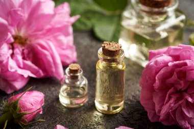 Aromaterapi şişeleri koyu arkaplanda pembe gül de Mai çiçekleri olan gerekli yağ.