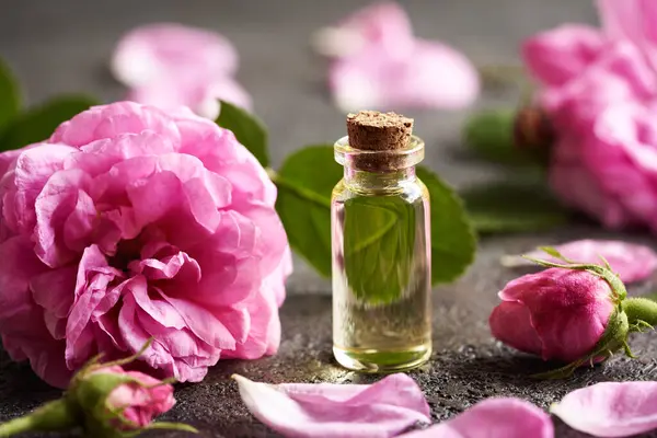 stock image Transparent glass bottle of aromatherapy essential oil with pink rose de Mai flowers on a dark background