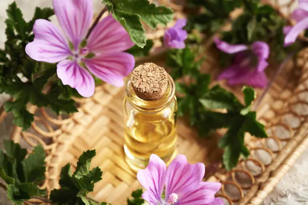 stock image A transparent bottle of mallow essential oil