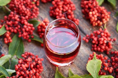 Bağışıklık sistemi için taze kırmızı mürver ya da Sambucus racemosa meyvesinden yapılmış bitkisel şurup.