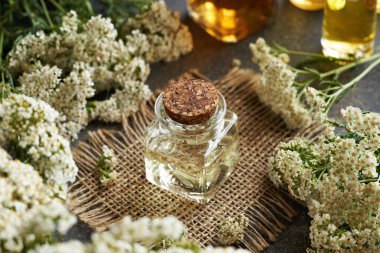 Cam bir şişedeki kireç yağı.