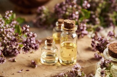 Bir şişe aromaterapi esaslı yağ ve taze kekik otu.