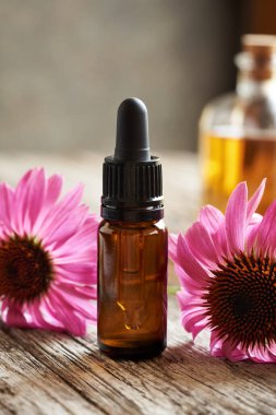 Bir şişe aromaterapi esaslı yağ ya da eflatun ekinezi çiçekli tentürdür.