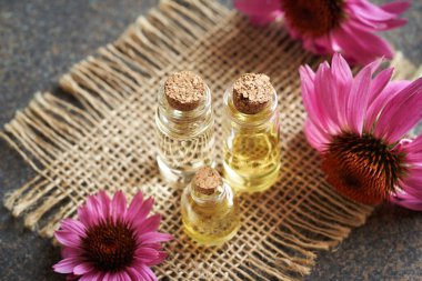 Üç şeffaf aromaterapi şişesi masada mor ekinezi çiçekleri olan gerekli yağ.