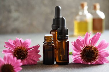 Üç kahverengi şişe aromaterapi esaslı yağ ya da üzerinde mor ekinezi çiçekleri olan tentür.