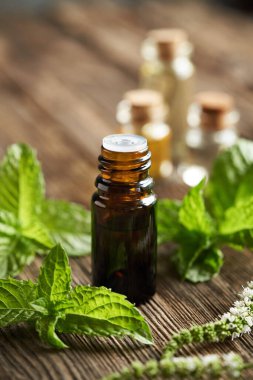 Kahverengi bir şişe aromaterapi esaslı yağ ve taze nane yaprakları.     