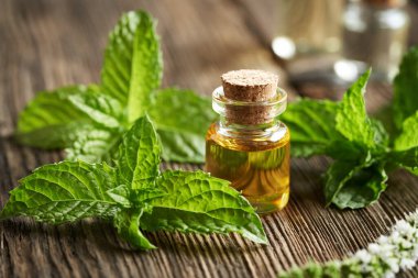 Şeffaf bir şişe aromaterapi yeşil nane yapraklı gerekli yağ.     