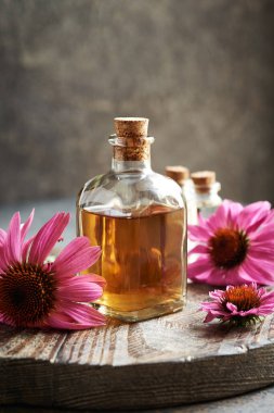 Cam bir şişede mor ekinezya çiçekli bitkisel tentür.