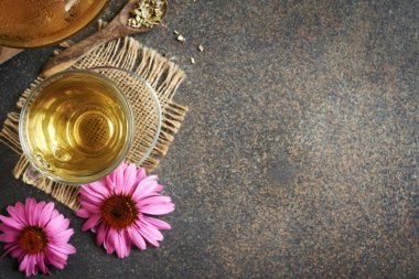Koyu arkaplanda fotokopi alanı olan Ekinezya çayı ve çiçekler