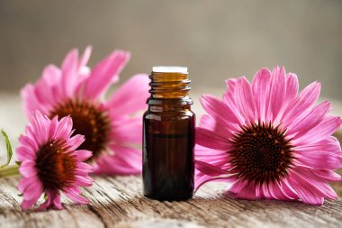 Kahverengi aromaterapi şişesi esaslı yağ ya da taze mor echinacea çiçekleriyle tentürdür.