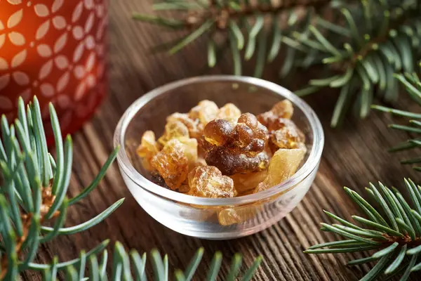 Tütsü ya da boswellia reçinesi kristalleri cam bir kasede, ahşap bir masada ladin dalları ile.