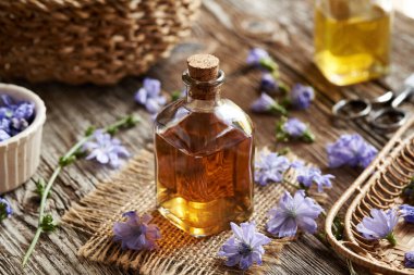 Şeffaf cam bir şişe bitkisel tentür ve taze hindiba çiçekleri.