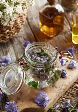Cam bir kavanozda taze yabani hindiba çiçeklerinden elde edilen bitkisel tentürlerin hazırlanması