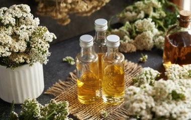 İlkbaharda taze Achillea Millefolium çiçekleriyle cam şişelerdeki kireç bitkisi tentürü.