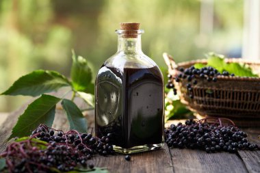 Güneşli bir yaz gününde bir şişe siyah yaşlı şurubu ve açık havada taze elderberry.