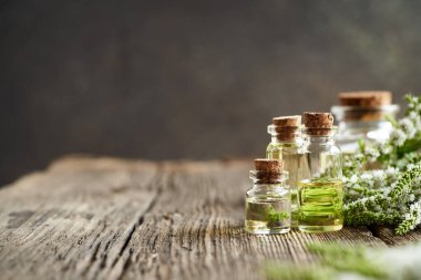 Aromaterapi şişeleri gerekli yağ ve taze nane çiçeği ile ahşap bir masada fotokopi alanı ile birlikte.