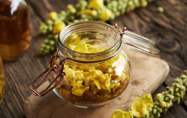 Taze Mullein veya Verbascum çiçeklerinden ve kavanozda kamış şekerinden ev yapımı bitkisel şurup yapıyorum.