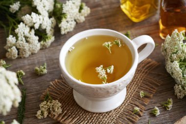 Taze Achillea Millefolium bitkisiyle beyaz bir fincan kiremit çayı.