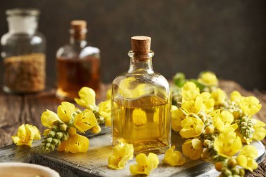 A transparent glass bottle of herbal tincture with fresh mullein or Verbascum densiflorum flowers clipart