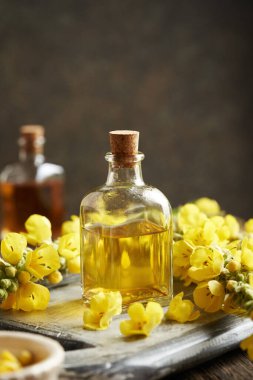 Bir şişe bitkisel tentür. Çiçek açan mullein veya Verbascum bitkisi. Kopya alanı da var.