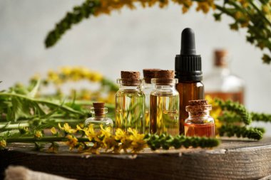 Essential oil bottles with fresh blooming agrimony or sticklewort plant on a table clipart