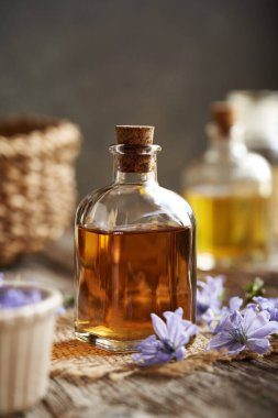 Taze hindiba çiçekli bir şişe bitki özü.