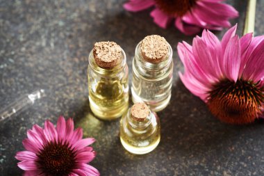 Bir şişe aromaterapi esaslı yağ ve koyu arkaplanda taze ekinezi çiçekleri.