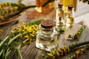 Taze tarımsal bir yağ şişesi ya da ahşap bir masanın üzerinde dikenli otlar.